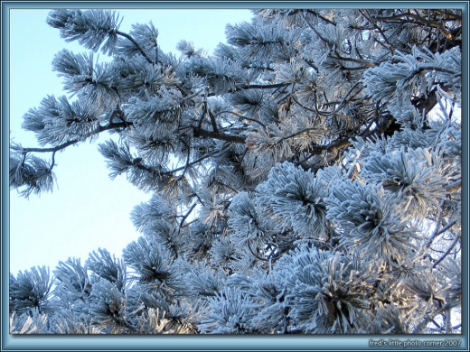 32208 (a): :1024x768